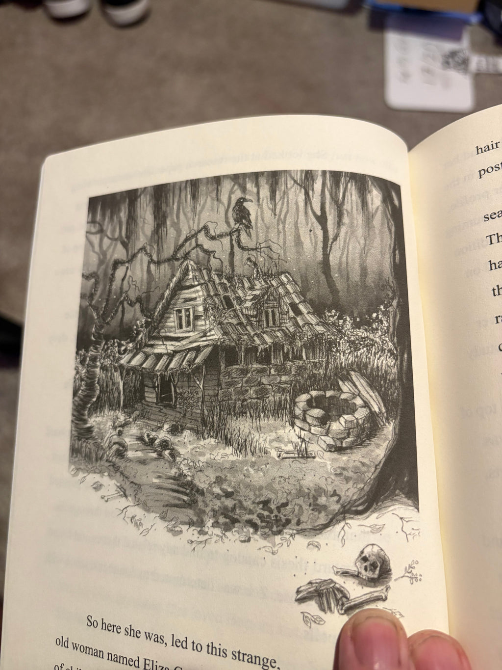 2 Ebooks for 1 ($.99) The Haunting of Chateau de Mornay and The Haunting of Anna Stone (Books 1 and Book 2 of The Haunting Trilogy) PDF Download in email after checkout.